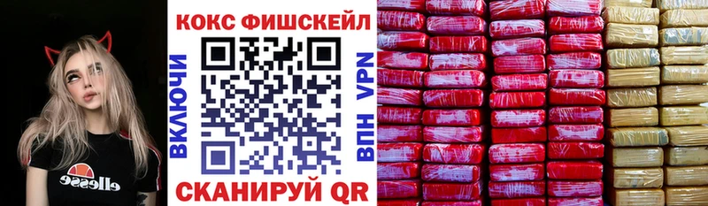 Кокаин FishScale  сколько стоит  Курильск 