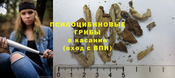 дживик Баксан