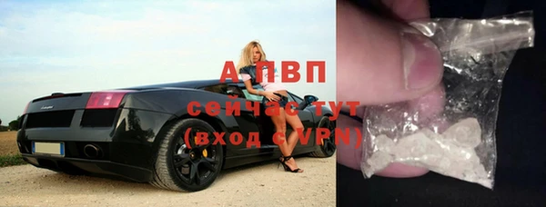 дживик Баксан